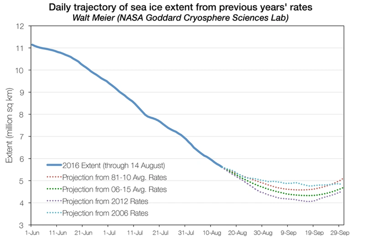 Projections of ice extent from August 14 through September 30 based on previous years’ observed retreat rates appended to the August 14, 2016 ice extent. (Credit: W. Meier/NASA GSFC)