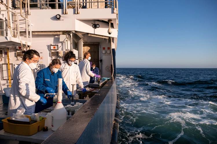 Researchers process sediment push cores on the aft deck of Research Vessel Falkor. The science team is conducting research on the DDT Dumpsite off the coast of Los Angeles where barrels of chemicals were dumped from 1947-1982, and used Remotely Operated Vehicle (ROV) SuBastian to collect data that will be used to add to the assessment on how this stretch of deep sea is responding to DDT.
Photo Credit/Copyright: Brady Lawrence/Schmidt Ocean Institute