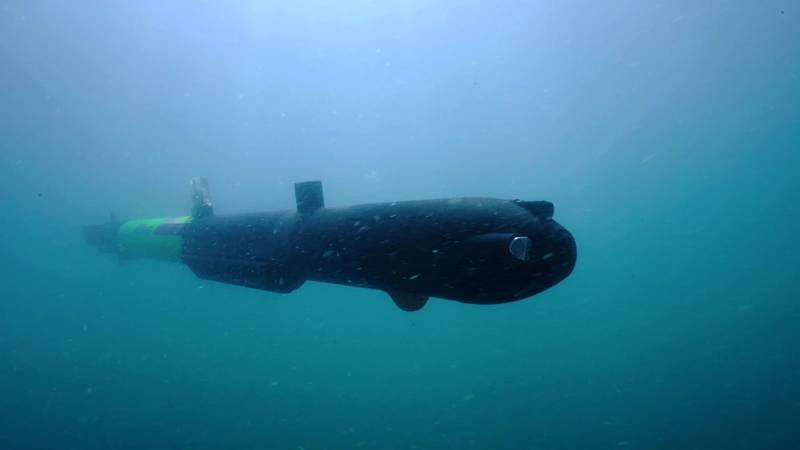 © RTsys Underwater Technologies