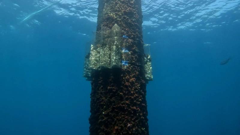 © Saitec Offshore Technologies