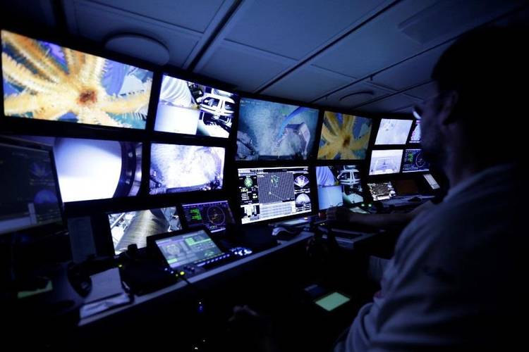 Schmidt Ocean Institute’s engineering team with the brand new 4,500 m ROV SuBastian; viewing marine life with SuBastian’s 4K camera in Falkor’s Science Control Room. (Photo Schmidt Ocean Institute)