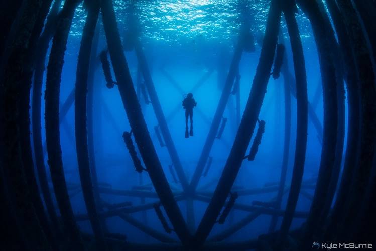A scuba diver investigates the marine life harbored beneath an oil rig off the coast of California. (Photo: Kyle McBurnie)