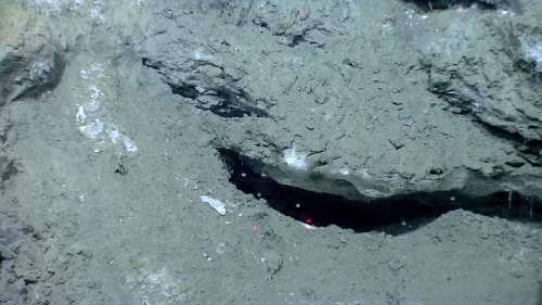 Seafloor image at a deepwater (~1400 m water depth) seep site on the New England margin. Seafloor conditions here are well inside the pressure-temperature stability field for methane hydrate. Gas being emitted below the rock overhang has formed gas hydrate (the white ice-like material). Distinct bubbles are visible in the foreground. The red laser scale is 10 cm. (Credit: NOAA)