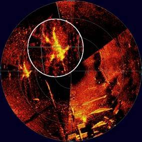 SeaKing Hammerhead image of a Diver, during a search at Hull Marina, at 10m range, 935kHZ frequency