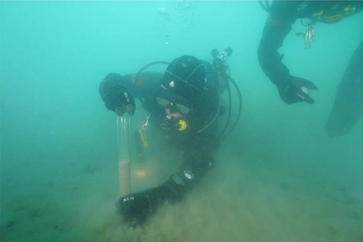 Sediment sample being taken at a Porphyria farm in Korea as part of Oceans 2050’s Seaweed Project study. © Ocean Farmers