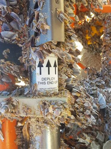 A data sensor covered in barnacles A data sensor covered in barnacles. Photo: NOC