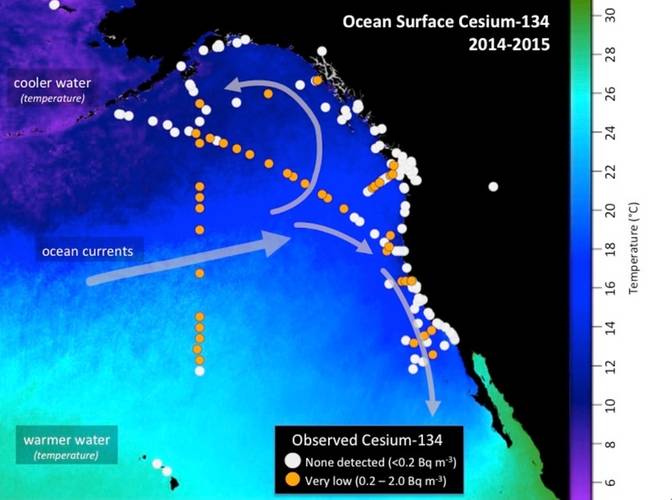 Map shows the location of seawater samples taken by scientists and citizen scientists that were analyzed at the Woods Hole Oceanographic Institution for radioactive cesium as part of Our Radioactive Ocean. Cesium-137 is found throughout the Pacific Ocean and was detectable in all samples collected, while cesium-134 (yellow/orange dots), an indicator of contamination from Fukushima, has been observed offshore and in select coastal areas. (Figure by Jessica Drysdale, Woods Hole Oceanographic Insti