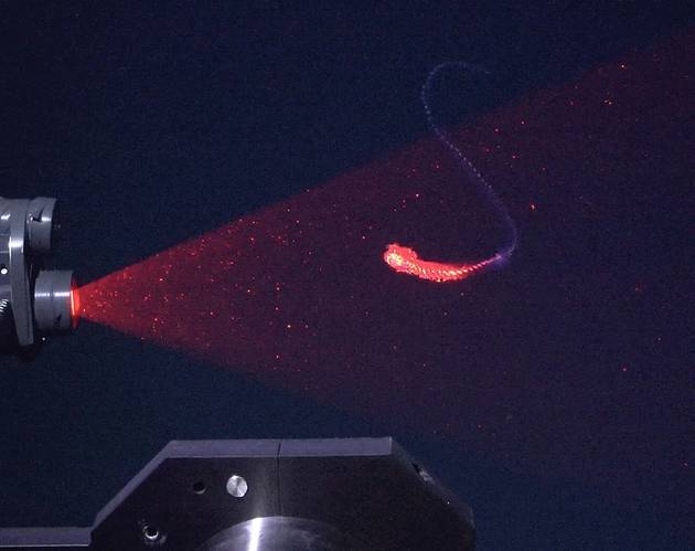 A siphonophore — a colonial marine invertebrate related to the venomous stinging Portuguese Man-o-war (Physalia physalis) — is scanned using the Deep Particle Image Velocimetry (DeepPIV) at a depth of 350 meters. The imaging system was developed by the Bioinspiration Lab at MBARI (Monterey Bay Aquarium Research Institute) to create 3D models of gelatinous animals. This species was undescribed prior to this encounter and is likely new to science. Credit: ROV SuBastian / Schmidt Ocean Institute

