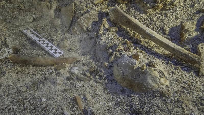 Skeletal remains in situ on the Antikythera Shipwreck: skull and long bones from arm and leg. Photo by Brett Seymour, EUA/WHOI/ARGO