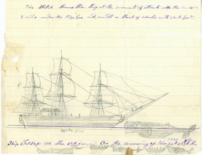 A sketch by Thomas Nickerson depicting the attack and sinking of the ship Essex. (Credit: Nantucket Historical Association)