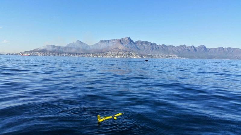 Slocum glider off Cape Town (Photo: BOM)