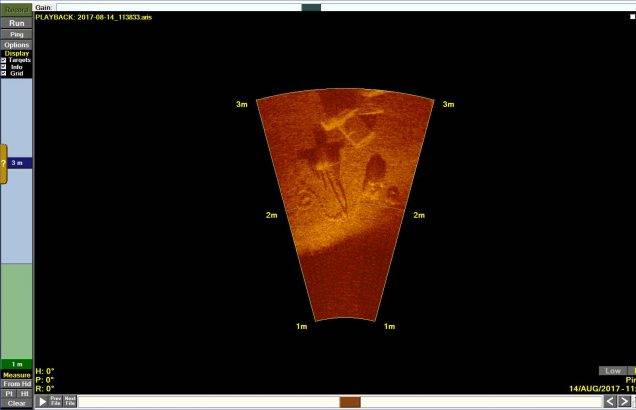 Sound Metrics Aris at 3 meter (9.8 foot) Range. (Image: Shark Marine Technologies)