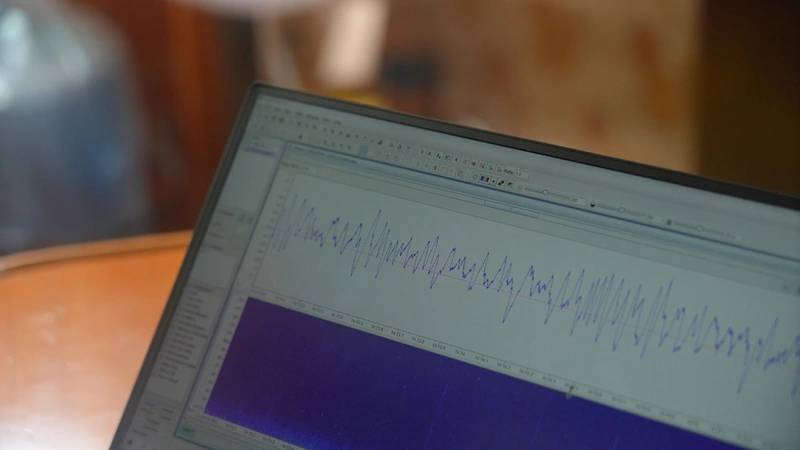 Sounds Emitted by the Dolphins Have Been Recorded, Providing Essential Data Support for Scientific Research. Photo courtesy OceanAlpha