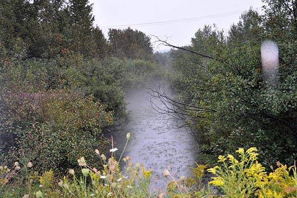 Spring 2010 - Partridge Creek looking north at Washington St. Overgrown linear ditches like this one have poor flow and are poor habitat. (Photo: EPA)
