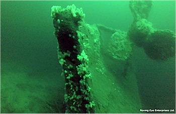 Stern of the vessel showing the portside bronze propeller. (Courtesy Keith Bichan, Roving Eye Enterprises.)