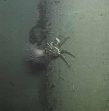 Still image from one of the photogrammetry cameras on board