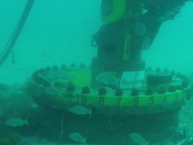 Successful subsea connection with Rocksteady, the CETO unit is ready to operate (Photo: SRP)