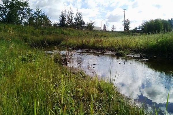 Summer 2014: Restored site with flowing creek and open water.(Photo: EPA)
