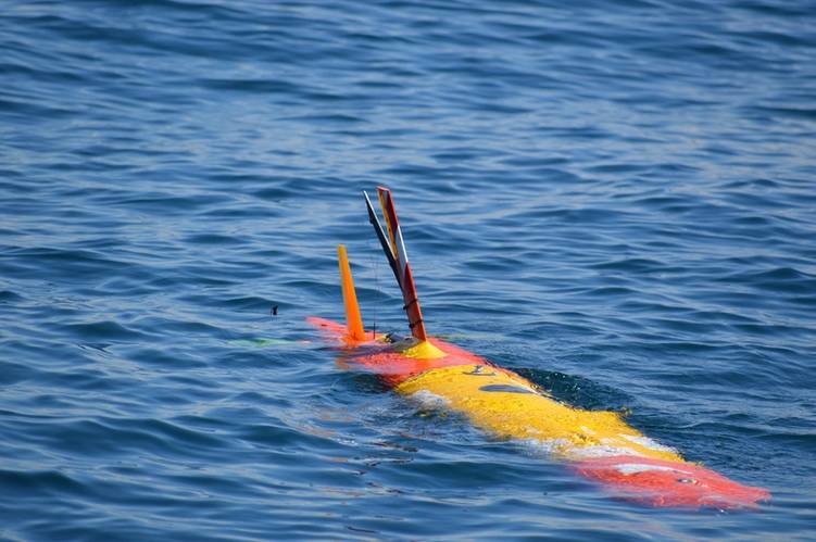 Tethys at work (Photo: David Warner / USGS)