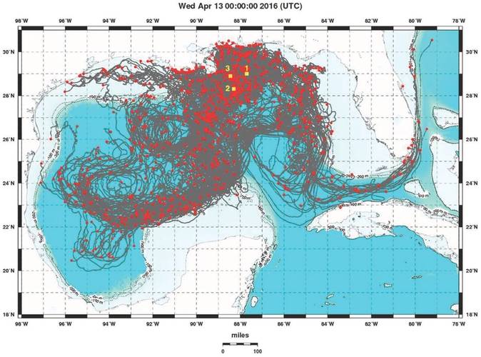 Three-month long trajectories of 1000 drifter units from the LASER field experiment. (Image: GreenWave Instruments LLC)