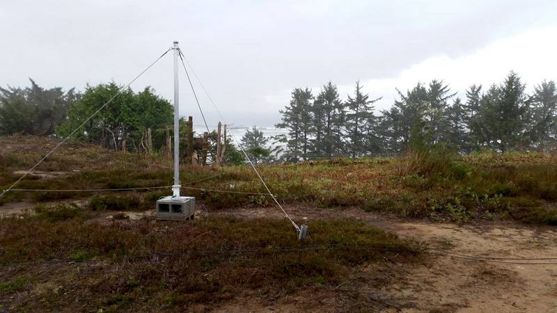 One of twelve 2m-tall receive antennas (Photo: ASL Environmental Sciences)