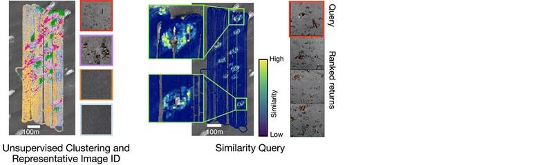 Unsupervised clustering and representative image identification and a similarity query. Image: Sonardyne

