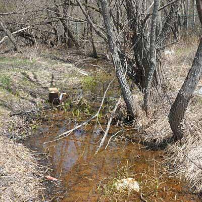 View upstream before Partridge Creek Phase One restoration (Photo: EPA)