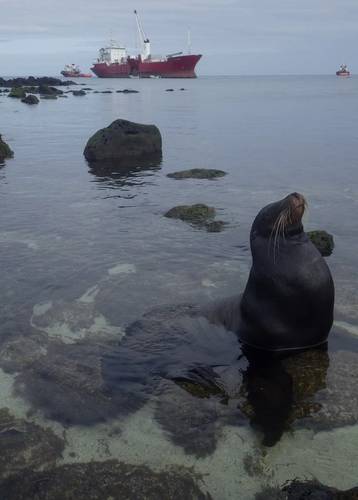 View on the vessel from the coast of the Galápagos (Photo courtesy of Mammoet Salvage)