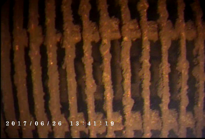 Video frame grabs provided by the Phantom T4H ROV (Photo: Deep Ocean Engineering)