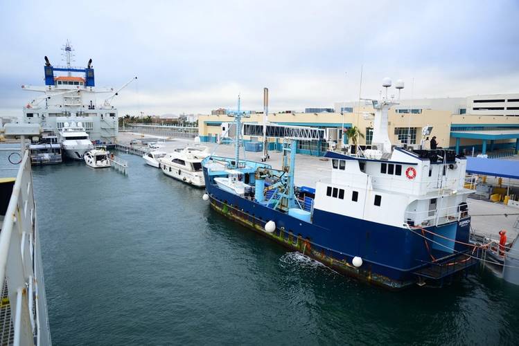 DYT Yacht Transport’s Yacht Express submerges in Port Everglades, Fla. to allow its cargo of yachts, including the 126-foot research vessel M/V OCEARCH (blue hull), to float on. OCEARCH is on its way to Brisbane, Australia. (photo credit Tom Serio Photography).