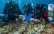 Antikythera team members Nikolas Giannoulakis, Theotokis Theodoulou, and Brendan Foley inspect small finds from the Shipwreck while decompressing after a dive to 50 m (165 feet). (Photo by Brett Seymour, EUA/WHOI/ARGO)