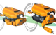 Aquanaut is able to transform from an AUV to an ROV (Photo: Houston Mechatronics)