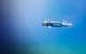 Bedrock's new next-generation AUV (Credit: Supplied by Exail)
