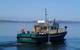 The college has two research vessels from which students can deploy the Falcon in support of their studies and research projects. (Image: Saab Seaeye)