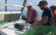 Commercial fisherman Doug Feeney (left) and scientist Owen Nichols from the Center for Coastal Studies mount one of five underwater cameras on the headrope of a gillnet before setting it into open waters off Cape Cod, Mass. They have been working with scientists from WHOI to film underwater interactions between seals and fishing nets in order to find ways to prevent them. (Photo by Andrea Bogomolni, Shoals Marine Laboratory)