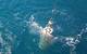 Courtesy of NOC - taken by Rebecca Fowler during Great Belt Research Cruise 1 & 2