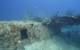 Documented B-52 Bomber (Photo: Project Recover)