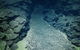 During the 2025 Deep-sea Habitats of the Cook Islands expedition on Exploration Vessel Nautilus the team surveyed various seascapes to better understand seabed environments, and natural and mineral resources in the region. In this image, polymetallic nodules rest on sediment accumulated in a depression between rounded pillows and extended lobate lava flows, which are evidence of ancient volcanoes. (Image credit: Courtesy of Ocean Exploration Trust)