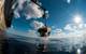 Falcon on environmental monitoring mission