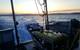 The Falcon, nicknamed 'Yelloweye' on board (Photo: Saab Seaeye)