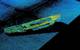 Figure 1: 3D sidescan image of the J.E. Boyden lying upright on the bottom of Lake Union as captured from the real-time 3DSS sonar display (Image: Ping DSP)