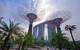 Gardens by the Bay, Singapore (Photo: EDT)