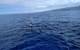 Next generation Wave Glider heading out to sea (Photo: Liquid Robotics, A Boeing Company)