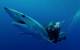     Dr. Guy Harvey with a Tagged Mako Shark (Photo courtesy of the Guy Harvey Foundation)