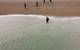 Image courtesy RS Aqua