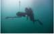Image: Shark Marine Technologies