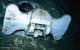 An image shot from a ROV shows the bottom of an anchor clearly marked "U.S. Navy" and "Norfolk Navy Yard." (Photo courtesy of Paul G. Allen)