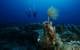 All images courtesy Dr. George Papalambrou, Assistant Professor, School of Naval Architecture and Marine Engineering,  National Technical University of Athens
