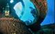 Images courtesy Subcon Blue Solutions/Wonder Reef