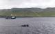 A dive team investigates sonar targets collected via the REMUS 100 AUV,  with RV Norseman II sailing in the background (Photo: NOAA)